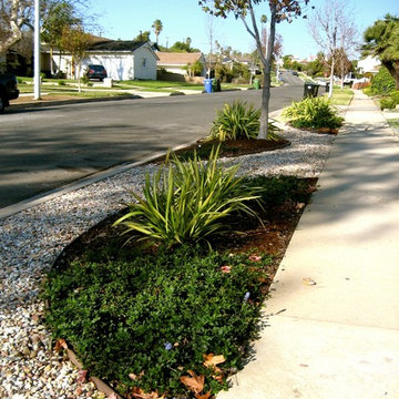 Water-wise Parkway