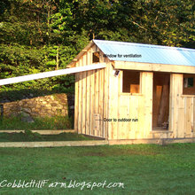 Chicken Coop Ideas