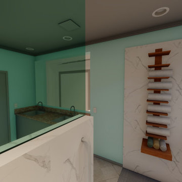Handicap Bathroom Reno
