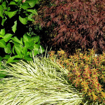 Planting Combinations by London Landscapes LLC