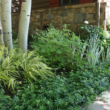 Gardening in the Shade