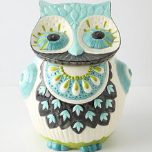 Owls