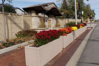 Inspiration for a landscaping in Other.