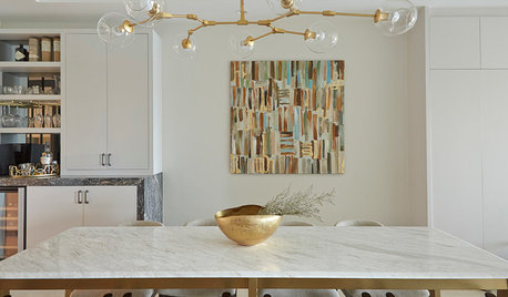 Houzz Tour: This Renovated Condo Gleams in a New Light