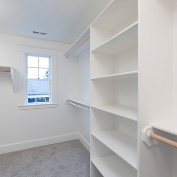 Whole house renovation/recreation