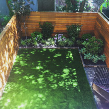 Backyard space