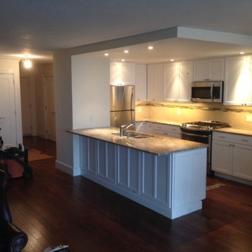 Modern condo kitchen