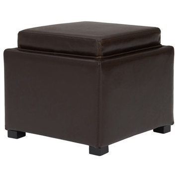 New Pacific Direct Cameron 17" Bonded Leather Storage Ottoman in Brown/Black