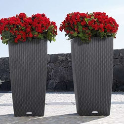 Modern Planter - Products