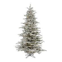Wish List