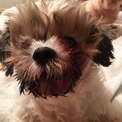 Jillian Wiles's photo