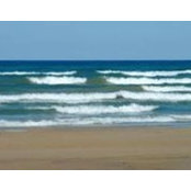 Ellen Dirstein's photo
