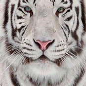 Elena Rupp's photo
