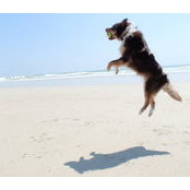 Teak Sullivan's photo