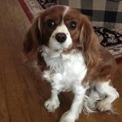Michelle Stark's photo