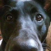 Lisa Hager's photo