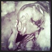 Shannon Cass Helliker's photo