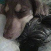 Patti Seiler's photo