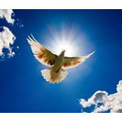MaryAnn Dyck's photo