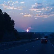 Dawn Bovingdon's photo