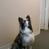 Tracie Kerr's photo