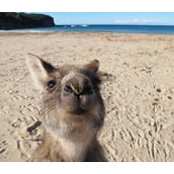 Kellie Mackay's photo