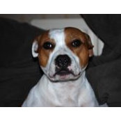 Debbie George's photo