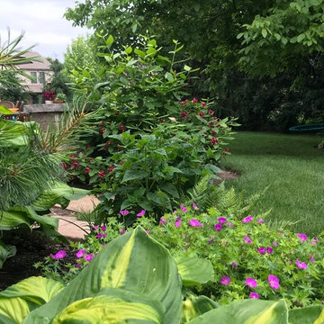 Residential Shade Garden
