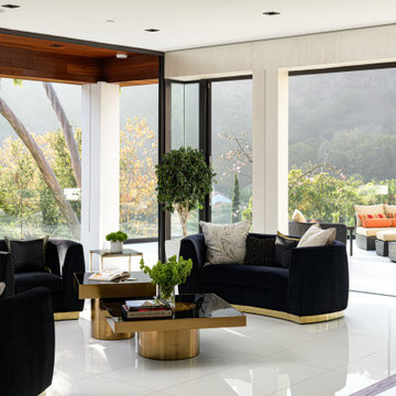 Beverly Hills Volume House