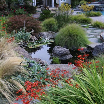 Beautiful pond, pool,pergola and garden
