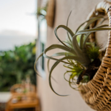 Mar Vista