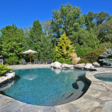Natural Pool Design