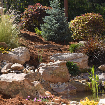Mediterranean Backyard Transformation - Tiburon, CA