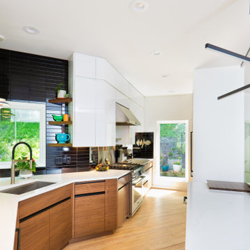 Excelsior Modern Remodel