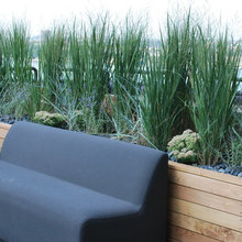 backyard patio