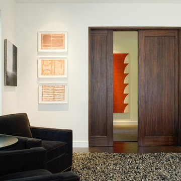 Interior Door Ideas- pocket doors