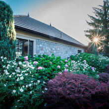 Landscape Ideas