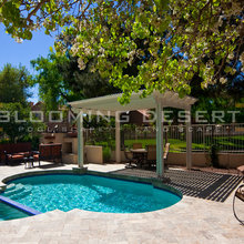 Landscape/Pool