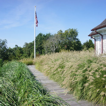Coastal Landscape