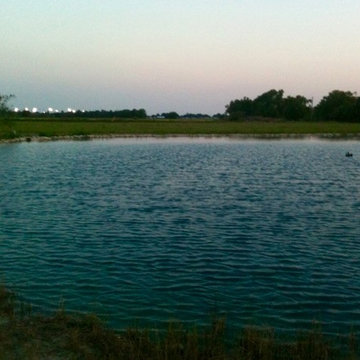 Ponds and More Dirt Work