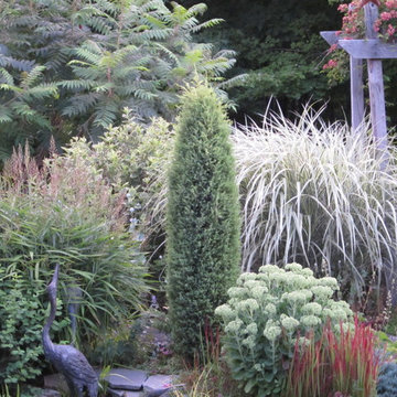 Rustic Cabin Cottage Garden