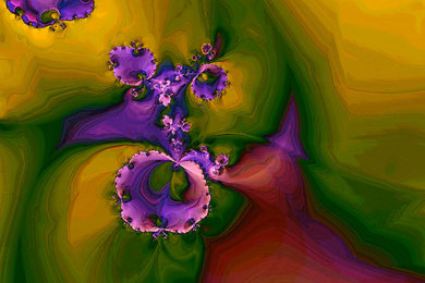 Afrikan violets