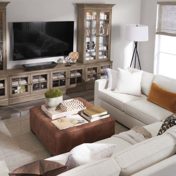 A Showstopping Media Room