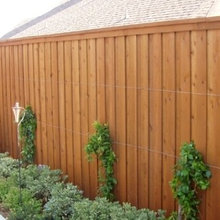 Fence