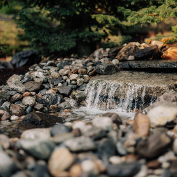 Backyard Water Feature