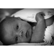 Andrea Grieser's photo