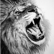 Omar Akaweih's photo