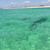 Estela Facio's photo