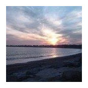 Matthew Romano's photo