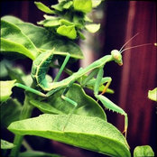 Garrett Mead's photo